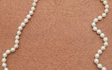 Mikimoto - 18 kt. Akoya pearl - Necklace