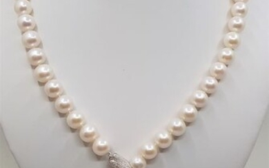 No Reserve - 925 Silver - 11x12mm White Cultured Pearls - Long Necklace