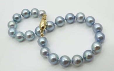 No Reserve Price - Akoya Pearls, Natural Blue, Round, 7 -7.5 mm - 14 kt. Yellow gold - Bracelet
