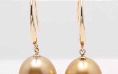 No reserve price - 14 kt. Yellow Gold - 10x11mm Deep Golden South Sea Pearls - Earrings