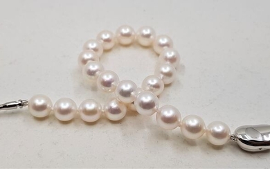 No reserve price - 925 Silver - Top grade 8x8.5mm Akoya Pearls - Bracelet