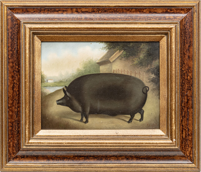 OIL ON CANVAS, H 11" W 15" PIG IN LANDSCAPE