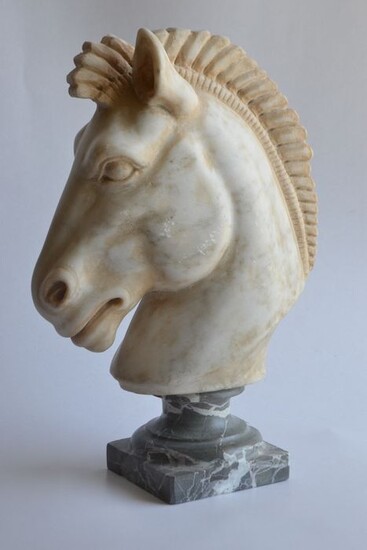 Sculpture, Horse head in white Carrara marble carved in classic style - Marble - Late 20th century