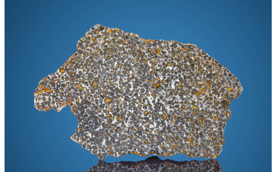 Sericho Meteorite End Cut Pallasite Eastern, Kenya - (1°...