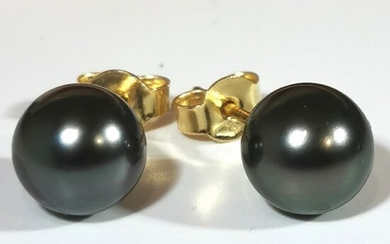 Top quality Peacock colour - 18 kt. Tahitian pearls, Yellow gold - Earrings