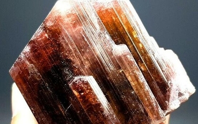 Tourmaline Crystal , Terminated And Undamaged Red Color
