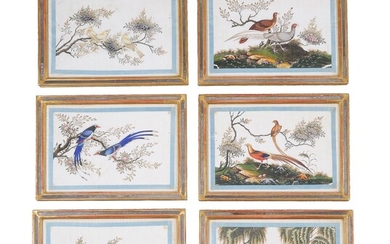 Twelve Chinese pith paper paintings of Birds