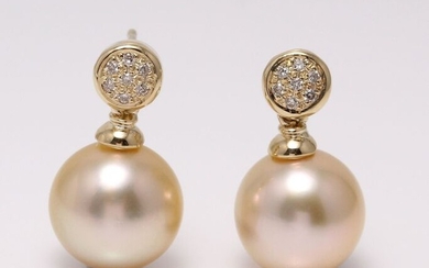 United Pearl - 10x11mm Golden South Sea Pearls - 14 kt. Yellow gold - Earrings - 0.11 ct
