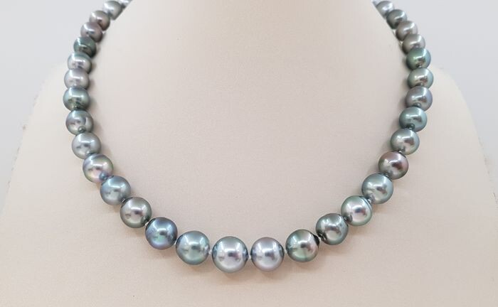United Pearl - 8x11mm Silvery Green Tahitian Pearls - 14 kt. White gold - Necklace