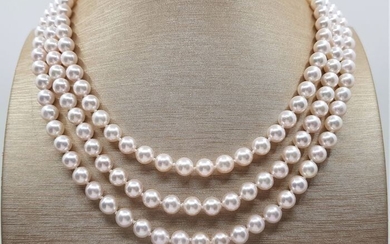 United Pearl - Top Grade AAA Qualiy 6.5x7mm Akoya Pearls - 14 kt. White gold - Necklace