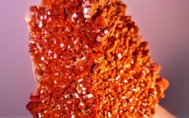 Vanadinite Red amzing Ruby colour Crystals on Matrix - Height: 12 cm - Width: 6 cm- 1512 g