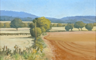 Vita Gollancz (1926-2009), Fields Near Wigmore I, huile sur toile, H.46cm L.60cm