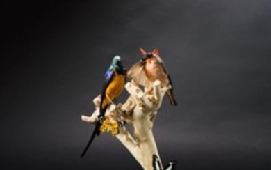 Vitrine comprenant un diorama composé de 3 espèces aviennes