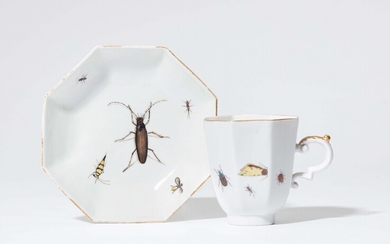 A Meissen porcelain cup and saucer with insect decor