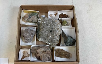 A fossil and stone collection to include Muscovite Analcime Trilobite...