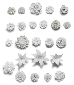 A very large collection of white Vincennes-style flowers, French, late 19th or 20th century