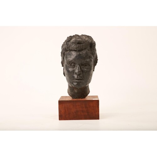 Alabaster Bust of a man (43cm Tall x 20cm Wide)
