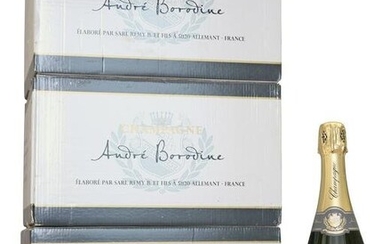 CHAMPAGNE ANDRE BORODINE, in original cartons of 6