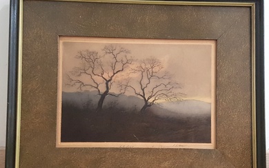 Edgard BOUILLETTE (1872-1960), Sans titre (arbres au crépuscule) Aquatinte signée en bas vers la droite,...