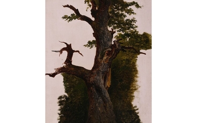 Ferdinand Georg Waldmüller Vienne 1793 - 1865 Hinterbrühl, attribué "Étude d'arbre" Huile sur toile sur...