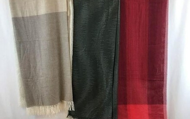 Group of 4 Agnona Cashmere Scarves, Pashmina and More!