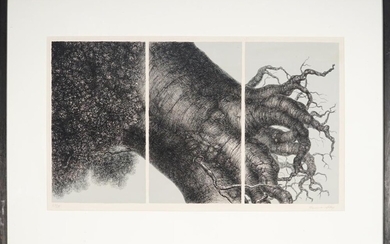 Hanna Kay (1947 - ) - Untitled - Tree 38 x 69 cm (frame: 66 x 93 x 3 cm)