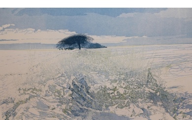 Phil Greenwood, signed Limited Edition print, ' Snow Light '...