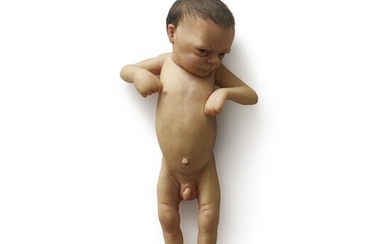 Ron Mueck Untitled (Baby)
