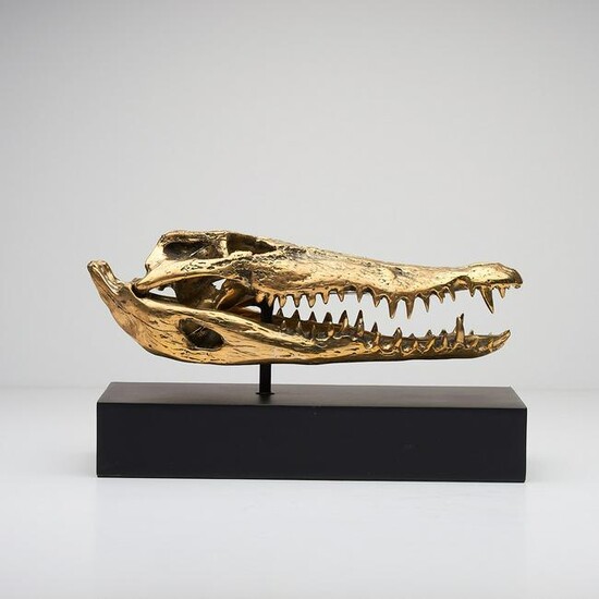 Saltwater Crocodile Skull fashioned in bronze, on