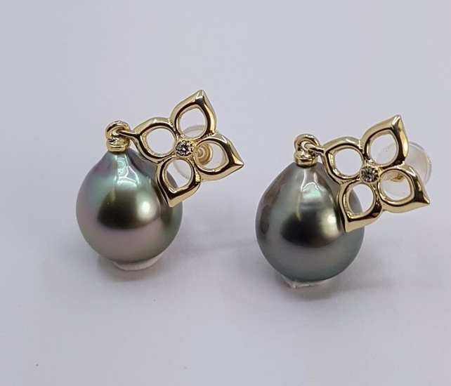 10x11mm Peacock Tahitian Pearl Drops Earrings - Yellow gold