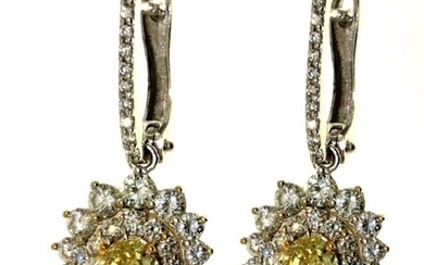 18 kt. White gold, Yellow gold - Earrings - 4.11 ct Diamonds