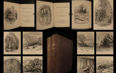 1851 Life of INSECTS Science Entomology Illustrated