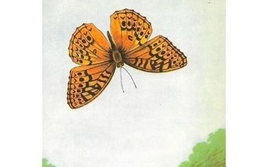 1920's Great Spangled Fritillary Butterfly Color
