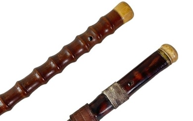 19th C. Carved Wooden Walking Sticks (2pc)