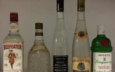 10 bouteilles ALCOOL BLANC DIVERS (GIN, POIRE,…