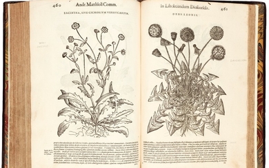 Mattioli | Commentarii in VI libros Pedacii Dioscoridis Anazarbei de medica materia, 1583, 2 volumes