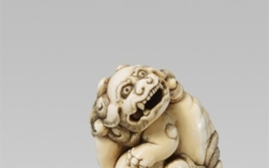 An ivory netsuke of a mighty shishi. Early 19th century