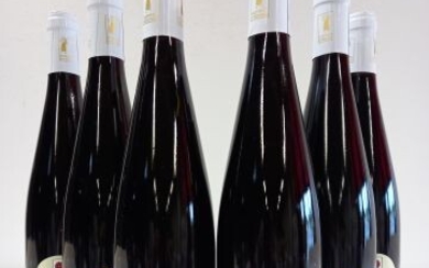6 bouteilles de Alsace Rouge d'Ottrot. 2019.... - Lot 31 - Enchères Maisons-Laffitte