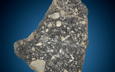 NWA 11474 Lunar Meteorite Slice Lunar (feldspathic breccia)...