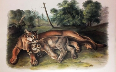 Audubon Lithograph, Cougar (Female and Young)
