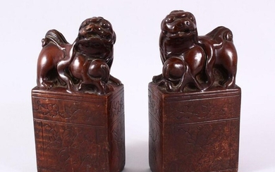 A PAIR OF UNUSUAL TERRACOTTA / POTTERY LION DOG SEAL /