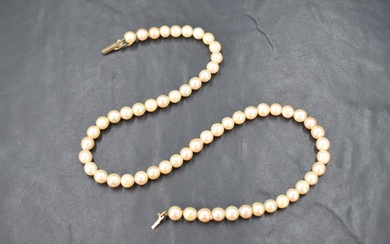 A string of cultured pearls of even form with a yellow metal box clasp, approx 16'