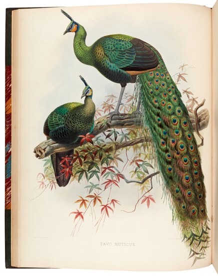 ELLIOT, D.G. | A Monograph of the Phasianidae, New York 1870-1872, 2 volumes