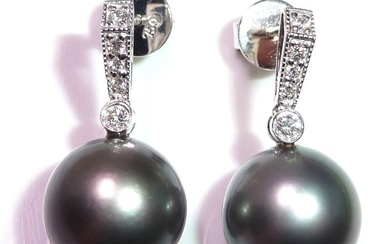 Earrings - White gold 0.20ct. Diamond - Pearl
