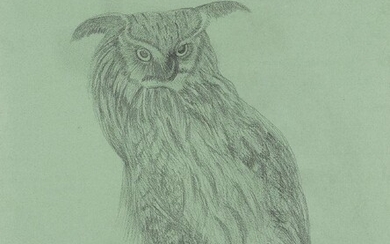 Elizabeth MacDonald-Buchanan, British 1939-2020- Owl; pencil on paper, signed with initials 'EMB', 51.4 x 41.8 cm: together with two other pencil on paper works by the same artist 'Owl with insect', 43 x 47.7 cm and 'Two mice', 55.3 x 46.7 cm (3)...