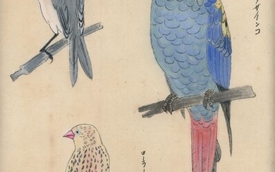 Emakimono 絵巻物 (horizontal picture scroll) - Kozo washi - Ornithology - Unknown - 'Emakimono chorui gaku' 絵巻物鳥類学 (picture scroll with studies of various birds) - Japan - Second half 19th century (Meiji period)