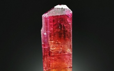 Extremely Rare Change color Pleochroism Tourmaline var. Elbaite Crystal - 7×2.2×19 cm - 44.3 g