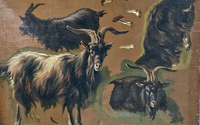 Filippo Palizzi (1818 -1899) - Studio di capre