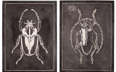Franz Josef Steger and Carl Ernst Boc, Leipzig, Germany, 19th century | Pair of Didactic Panels Depicting Scarabs, Franz Josef Steger and Carl Ernst Boc, Leipzig, Germany, 19th century | Pair of Didactic Panels Depicting Scarabs