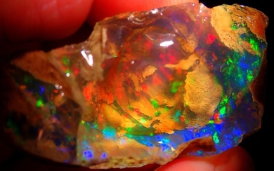 Giant Play of Color Crystal Opal 328.5ct - 58.94×38.01×29.06 mm - 65.7 g